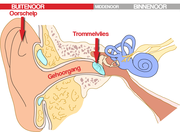 buitenoor2