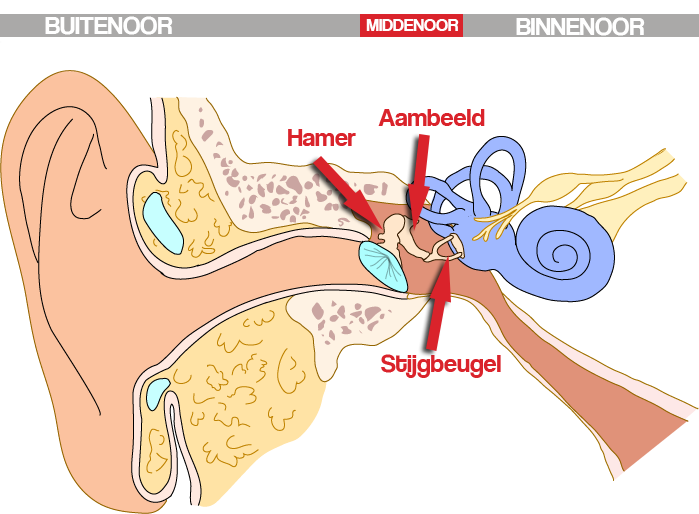 middenoor